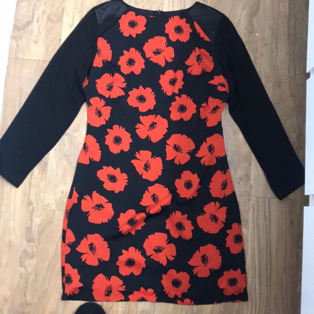 Black and Red beautiful print